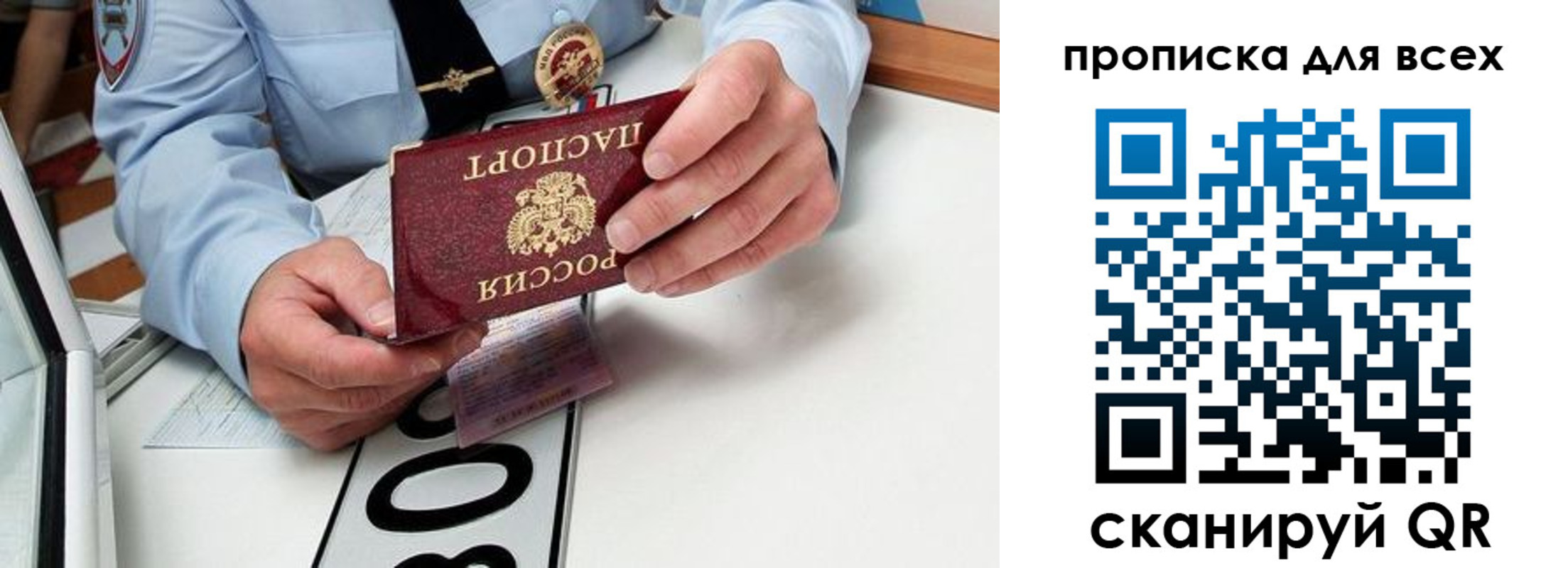 прописка для школы в Фокино